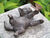 Sculpture de jardin « Chaton et papillon », en bronze