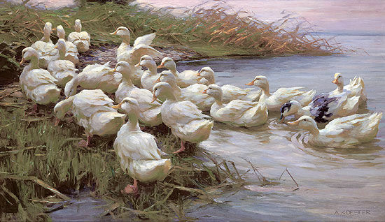 Picture "Ducks on the Lakeshore", on stretcher frame by Alexander Koester