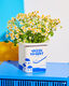 Keramikvase / Deko-Objekt "Griechischer Joghurt" von Fluid Market