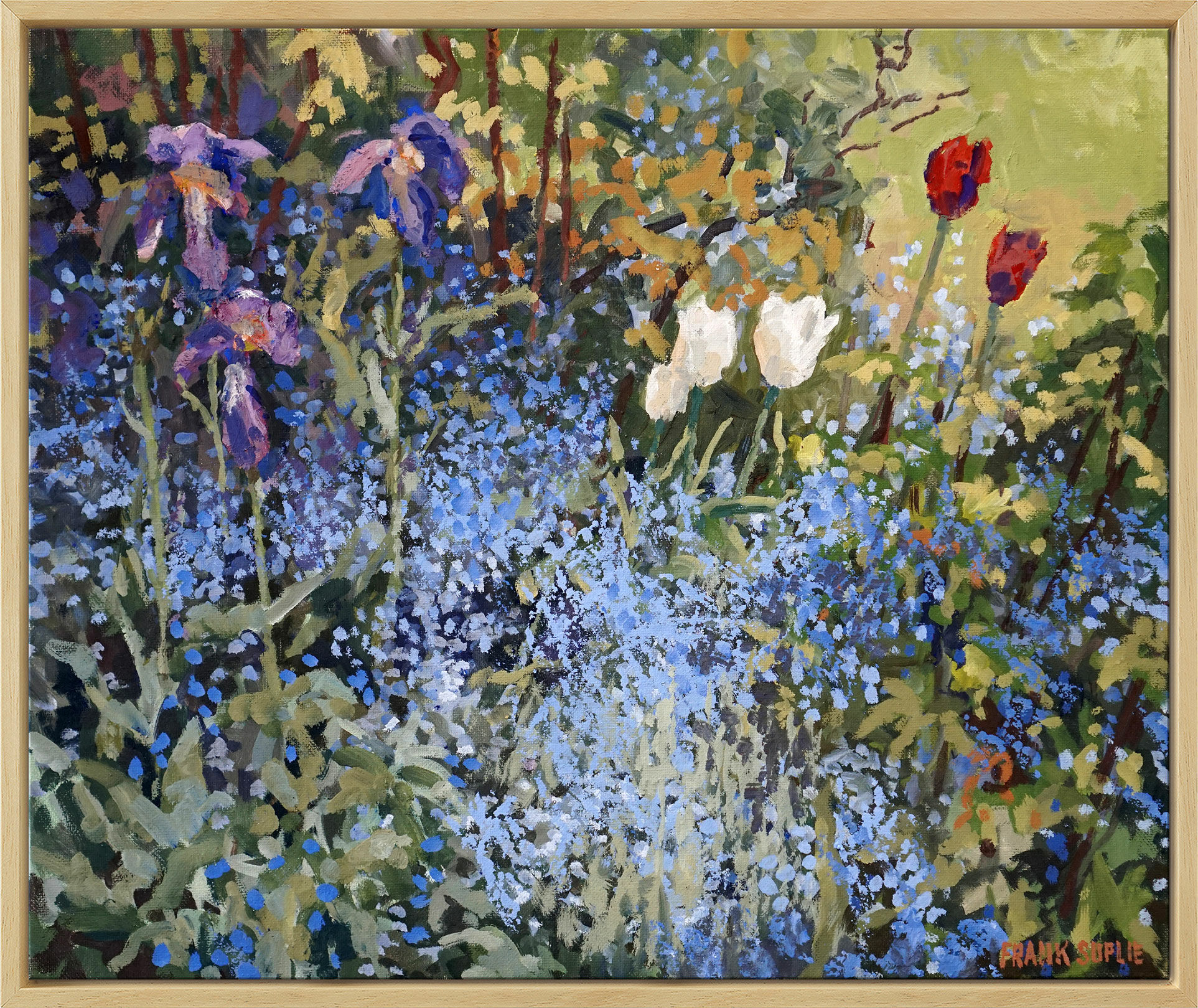 Picture " Forget-Me-Not, Iris and Tulips" (2020) (Original / Unique piece), framed by Frank Suplie
