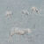 Picture "Four Sheeps" (2023) (Unique piece)