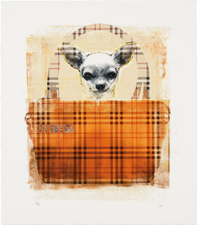 Picture "Burberry Dog" (2014)