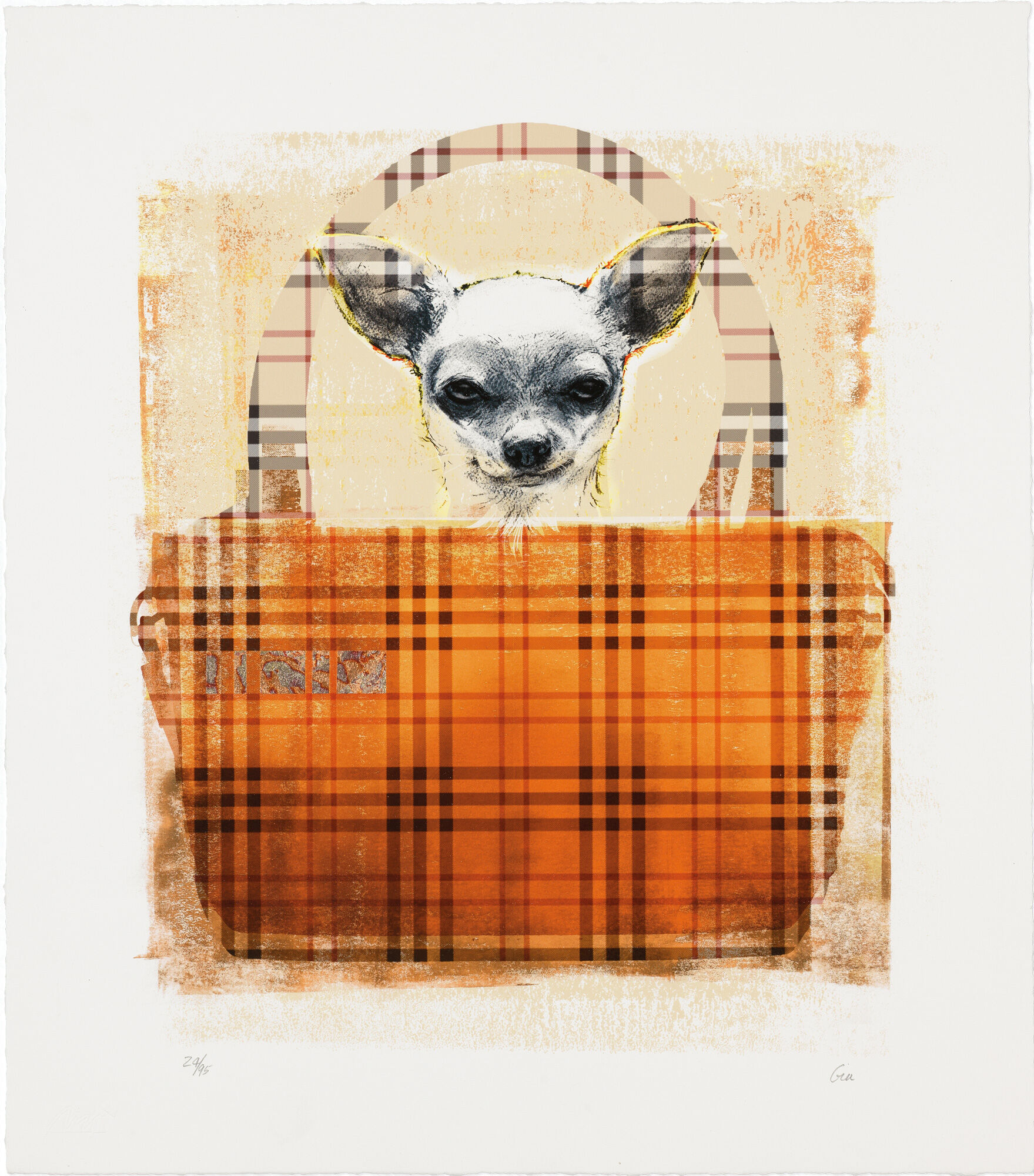 Picture "Burberry Dog" (2014) by Shannan Gia