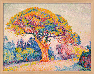 Bild "Die Pinie von Bertaud (bei Saint-Tropez)" (1909), Version naturfarben gerahmt von Paul Signac