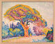 Obraz "Sosna z Bertaud (w Saint-Tropez)" (1909), wersja oprawiona w ramę naturalną autorstwa Paul Signac