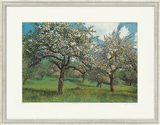 Picture "Apple Blossom", framed
