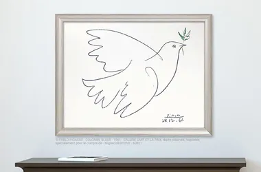 Picasso und die Tauben