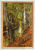 Bild "Ein Waldbach" (1893), gerahmt