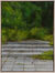 Bild ”Green Staircase” (2026)