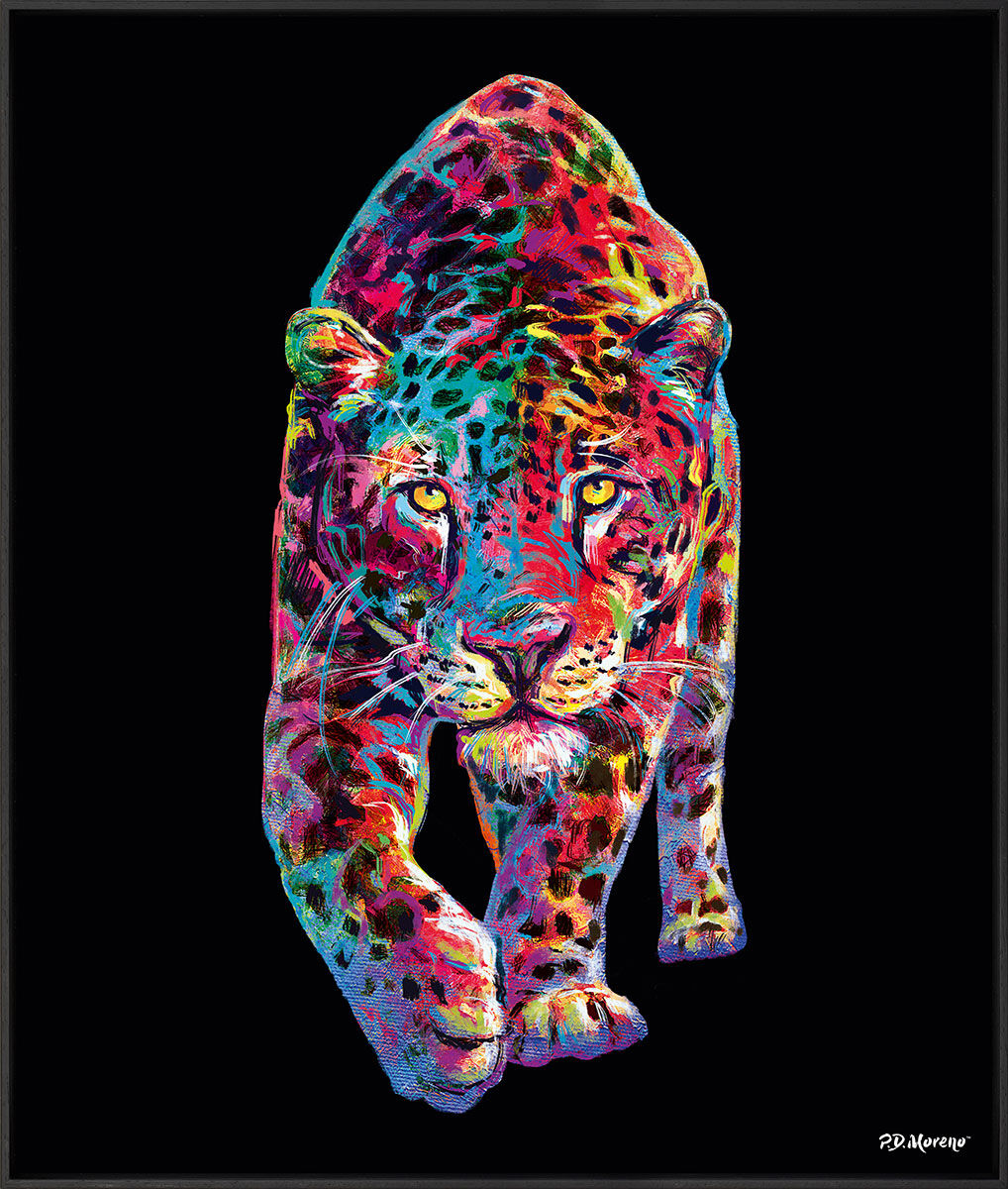 Bild "Leopard", Version schwarz gerahmt von PD Moreno