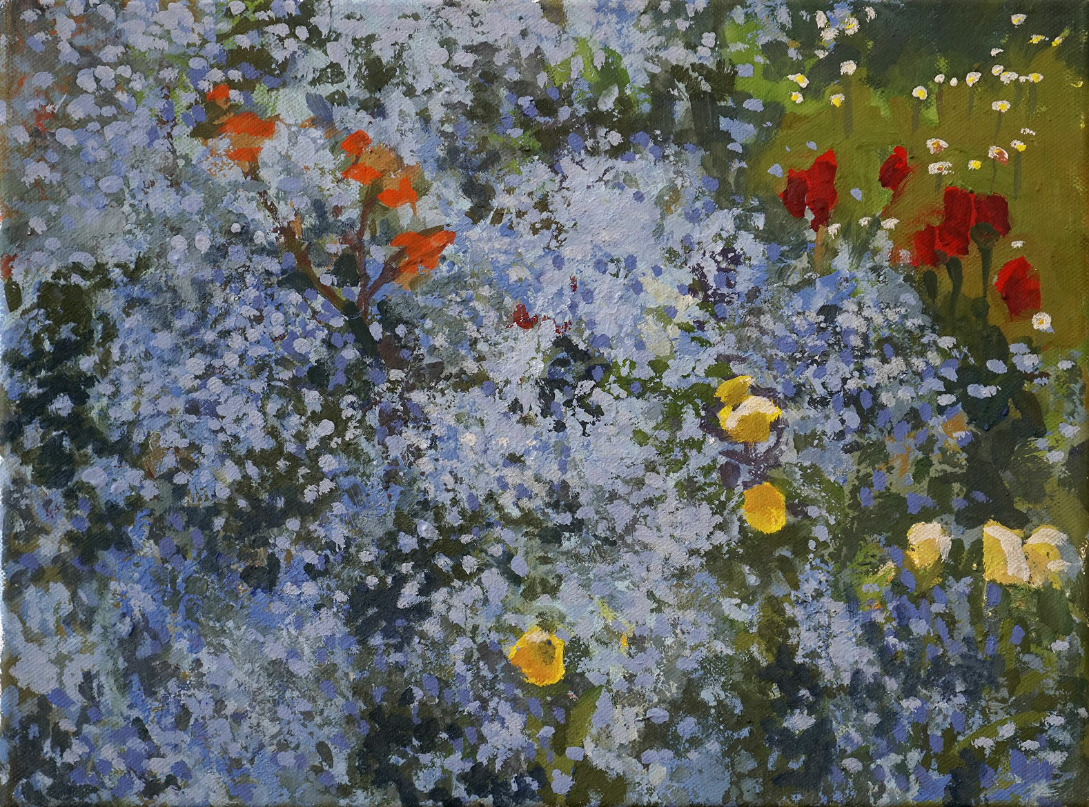Picture " Forget-Me-Not and Poppy " (2020) (Original / Unique piece), on stretcher frame by Frank Suplie