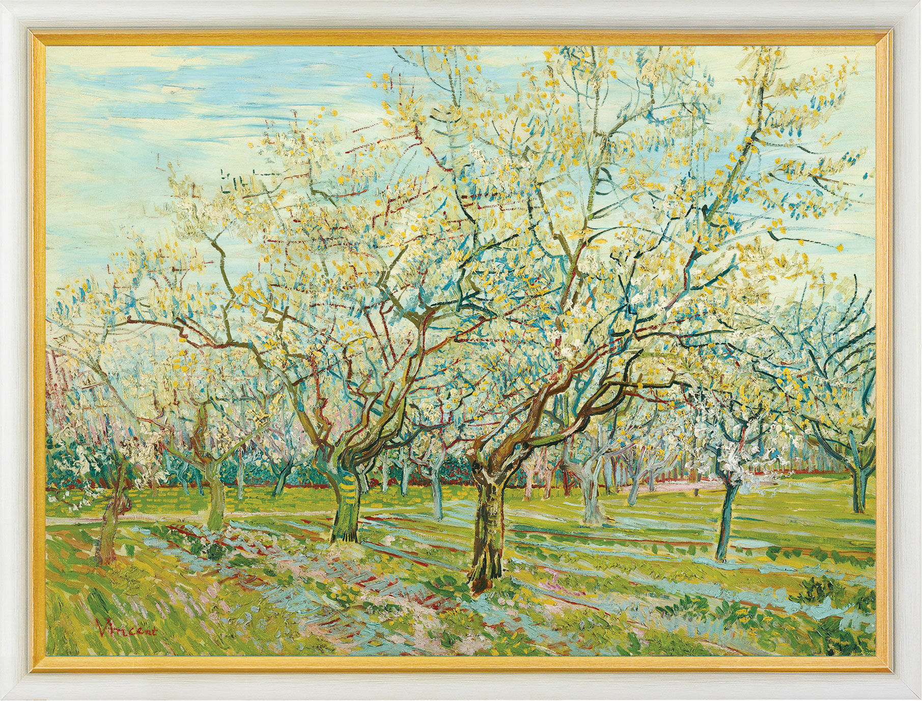 Bild "Der weiße Obstgarten", gerahmt von Vincent van Gogh