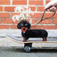 Keramikvase / Deko-Objekt "Dog" von Fluid Market