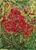Cuadro "Amaryllas in Rampant Green" (2000) (Pieza única)