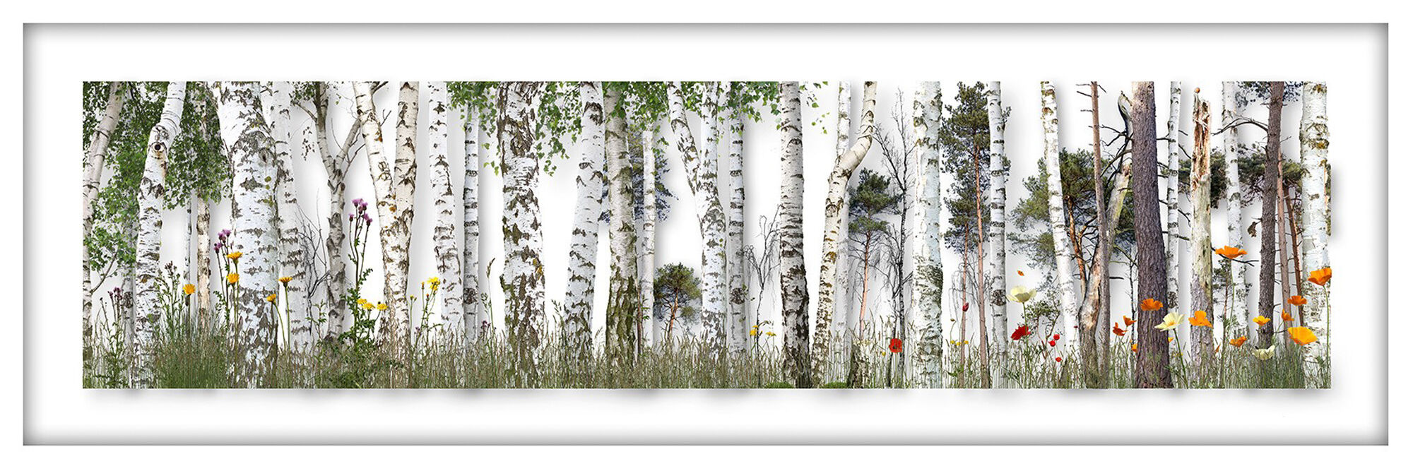 Picture "Birch-Pine Forest" (2020) by Andreas Lutherer