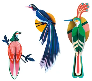 3D-Wandobjekte "Paradiesvögel" aus recyceltem Karton, DIY, 3er-Set