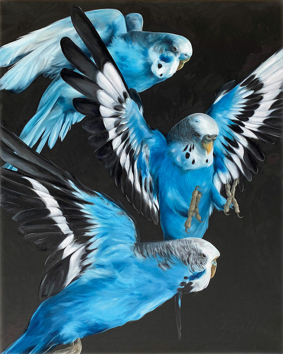 Picture "Blue Budgies" (2022) (Original / Unique piece), on stretcher frame by Maria Zalfen-Lenz