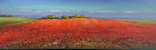 Picture "Poppy Fields in the Evening Light Near the Baltic Sea" (2023) (Unique piece) by Stefan Dobritz