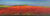 Picture "Poppy Fields in the Evening Light Near the Baltic Sea" (2023) (Unique piece)