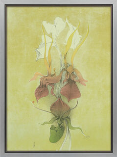 Picture "Lady's Slipper" (1989), framed