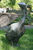 Haveskulptur "Gås, der kigger til højre", bronze
