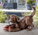 Sculpture de jardin "Chien, jouant", bronze