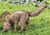 Tuinbeeld "Jonge vos, snuffelend", brons