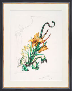 Picture "Hemerocallis thumbergii elephanter furiosa" (1972)