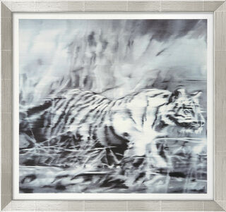 Bild "Tiger" (1965), Version silberfarben gerahmt