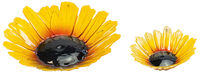 2 Glasschalen "Sonnenblume" im Set