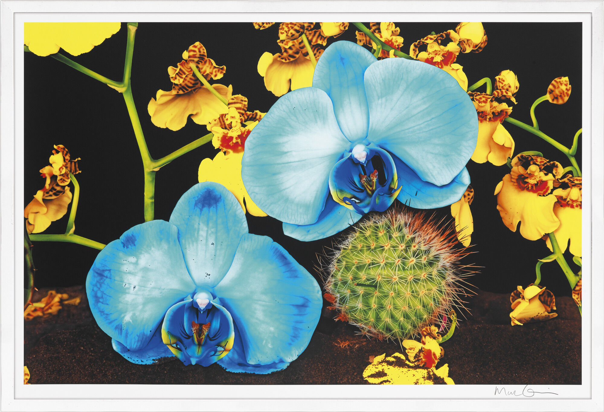 Quadro "Sotto il vulcano" (2012) di Marc Quinn