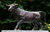 Tuinbeeld "Stier" (zonder sokkel), brons