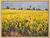 Tableau "Rape near Nieby I" (2023) (Original / Pièce unique), encadré