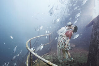 Billede "Reunion" (2013)