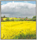 Bild "Summer Day - It's About to Rain" (2010), inramad av Frank Suplie