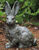 Haveskulptur "Hare", bronze