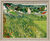 Schilderij "Wijngaarden bij Auvers" (1890), ingelijst