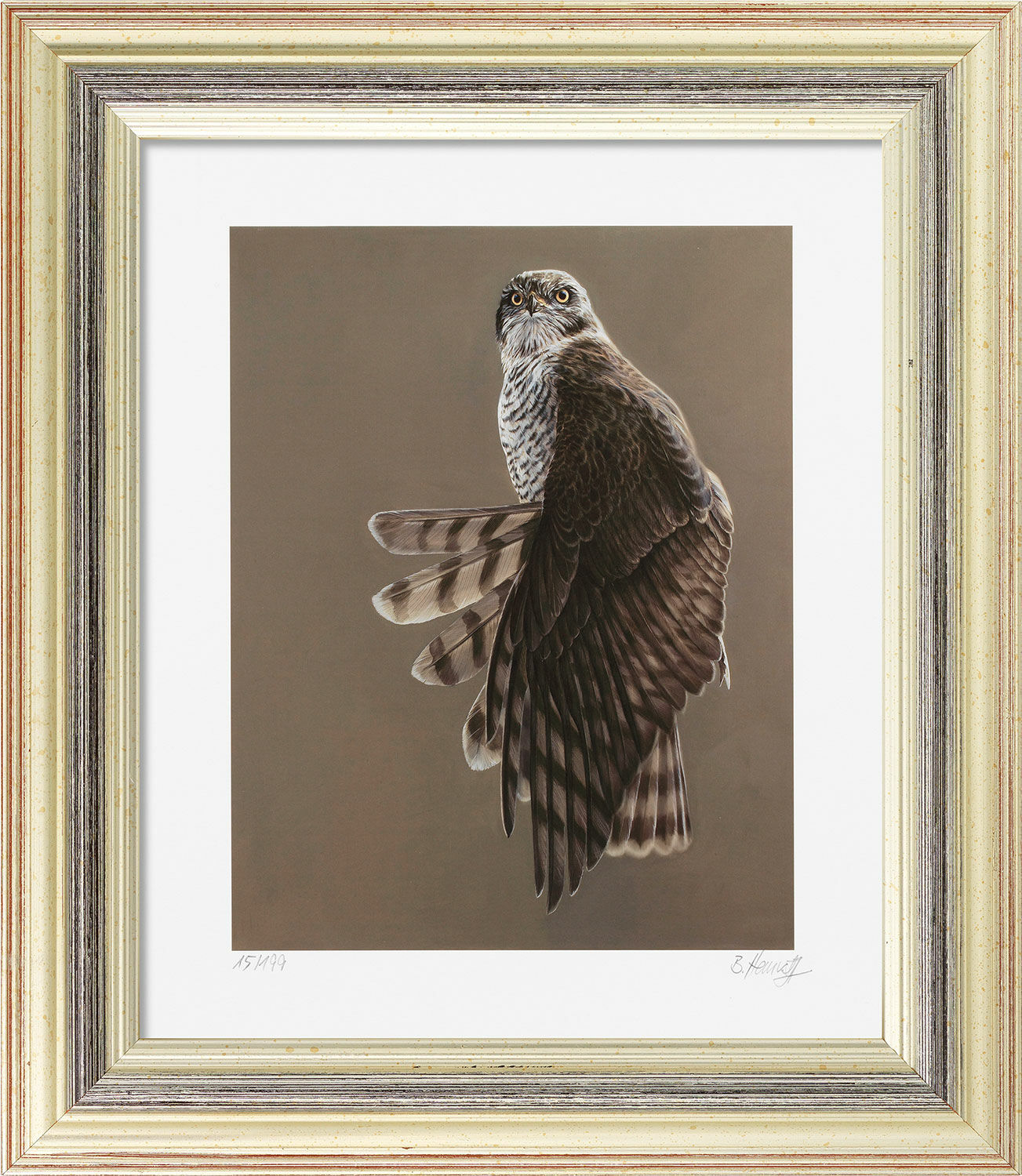 Picture "Sparrowhawk", framed by Bernd Hanrath