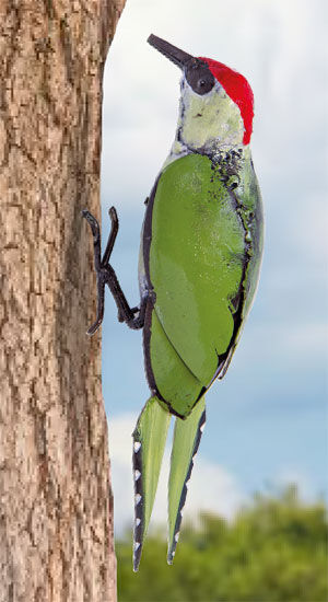 Tuinornament "Groene specht"