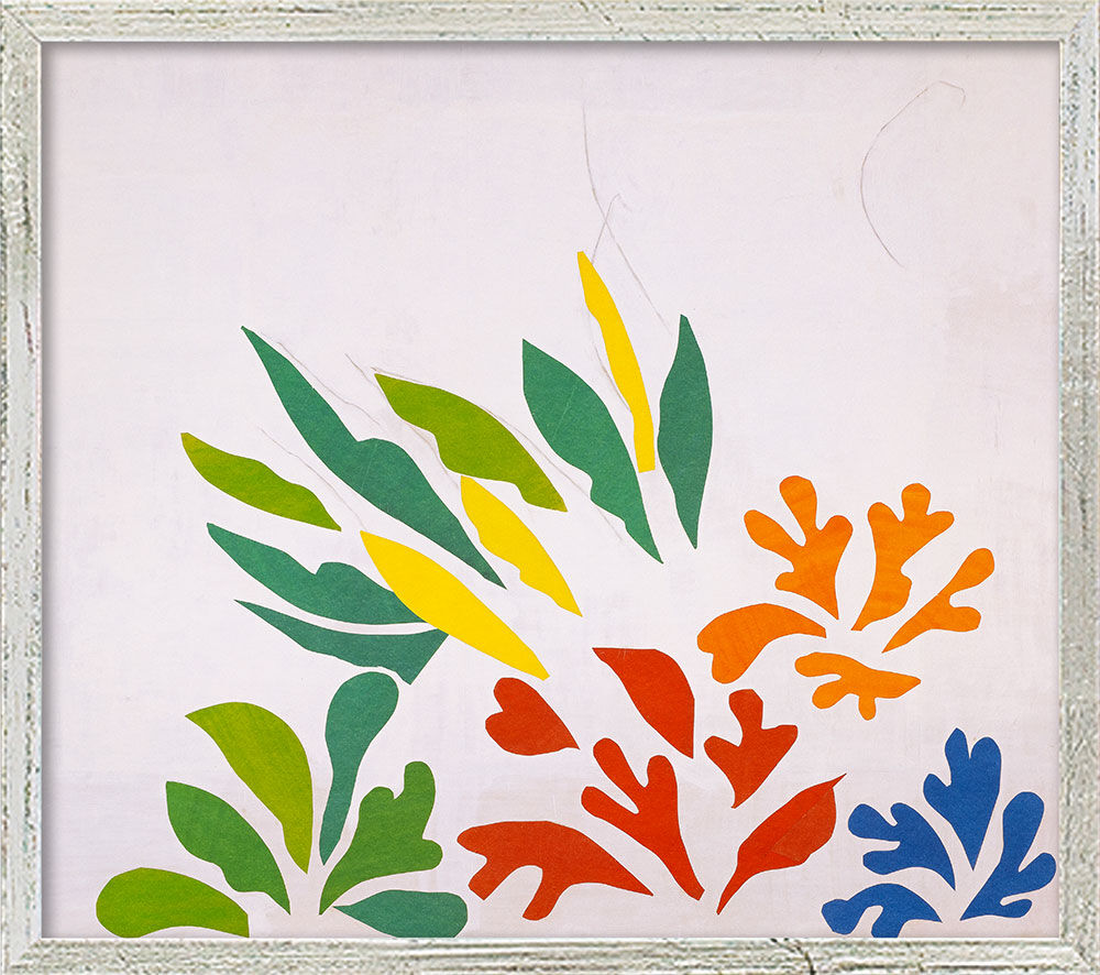 Bild "Acanthes" (1953), Version silberfarben gerahmt von Henri Matisse