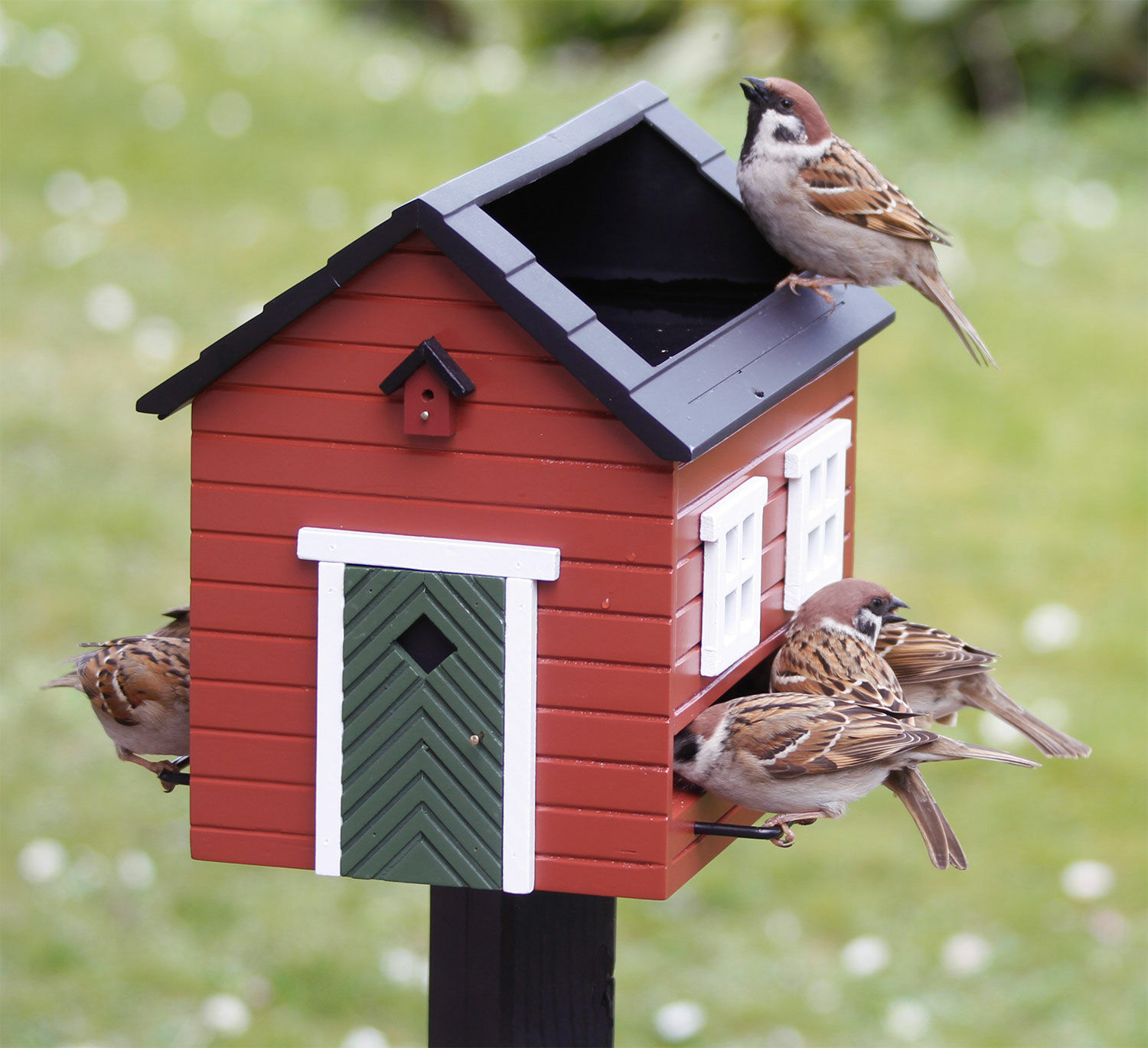 Bird feeder / birdbath "Red House"