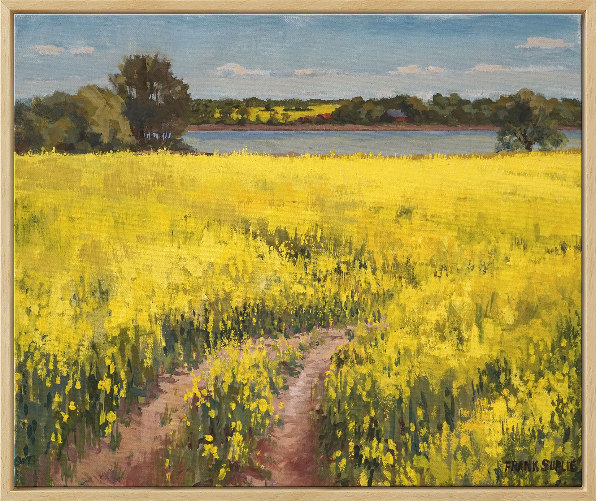 Bild "Raps bei Boknis an der Schlei" (2020) (Original / Unikat), gerahmt von Frank Suplie
