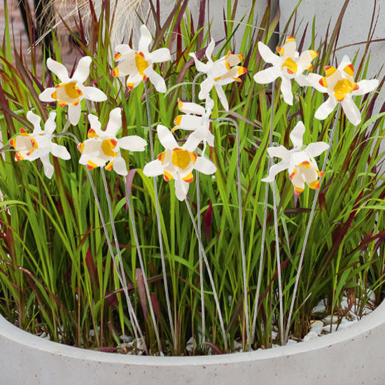 Juego de flores para estacas de jardín "Narcisse", 10 piezas