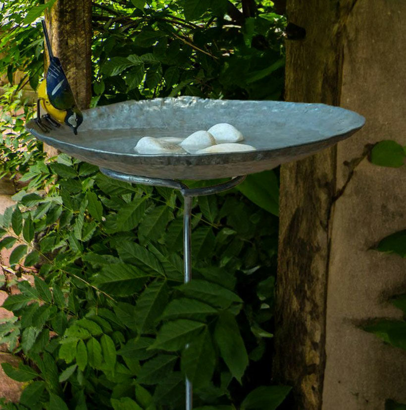 Havepæl / fuglebad med mejse