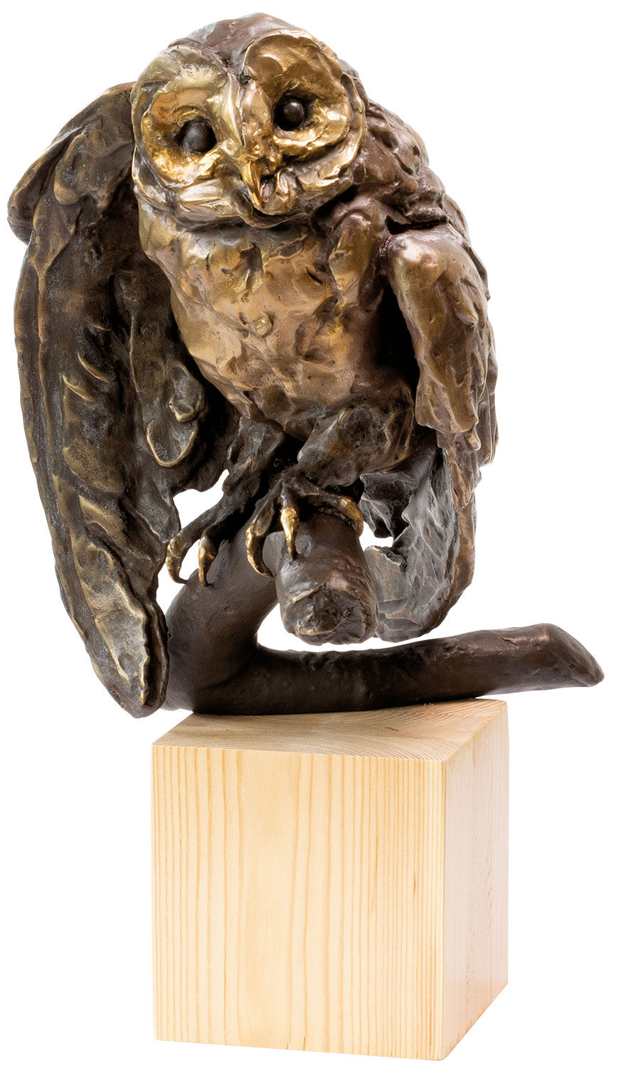 Scultura "Gufo", versione in bronzo marrone di Kristin Kolb