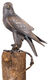 Sculpture de jardin "Faucon" (version sans piquet), bronze