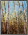 Picture "Birches in Spring I" (2023), framed