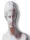 Väggobjekt "Venus de Milo"