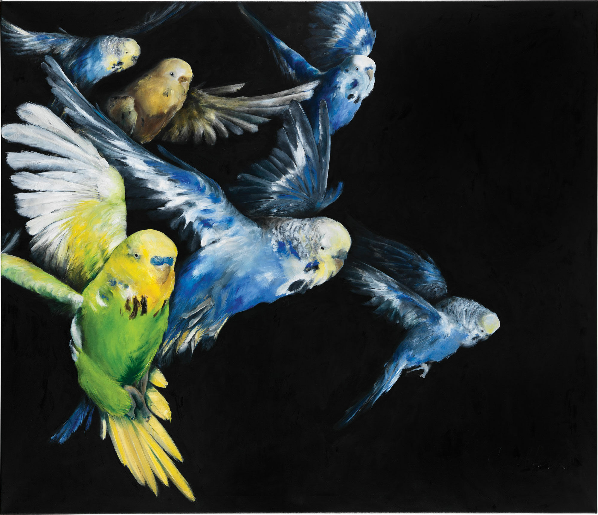 Picture "Parakeets" by Maria Zalfen-Lenz