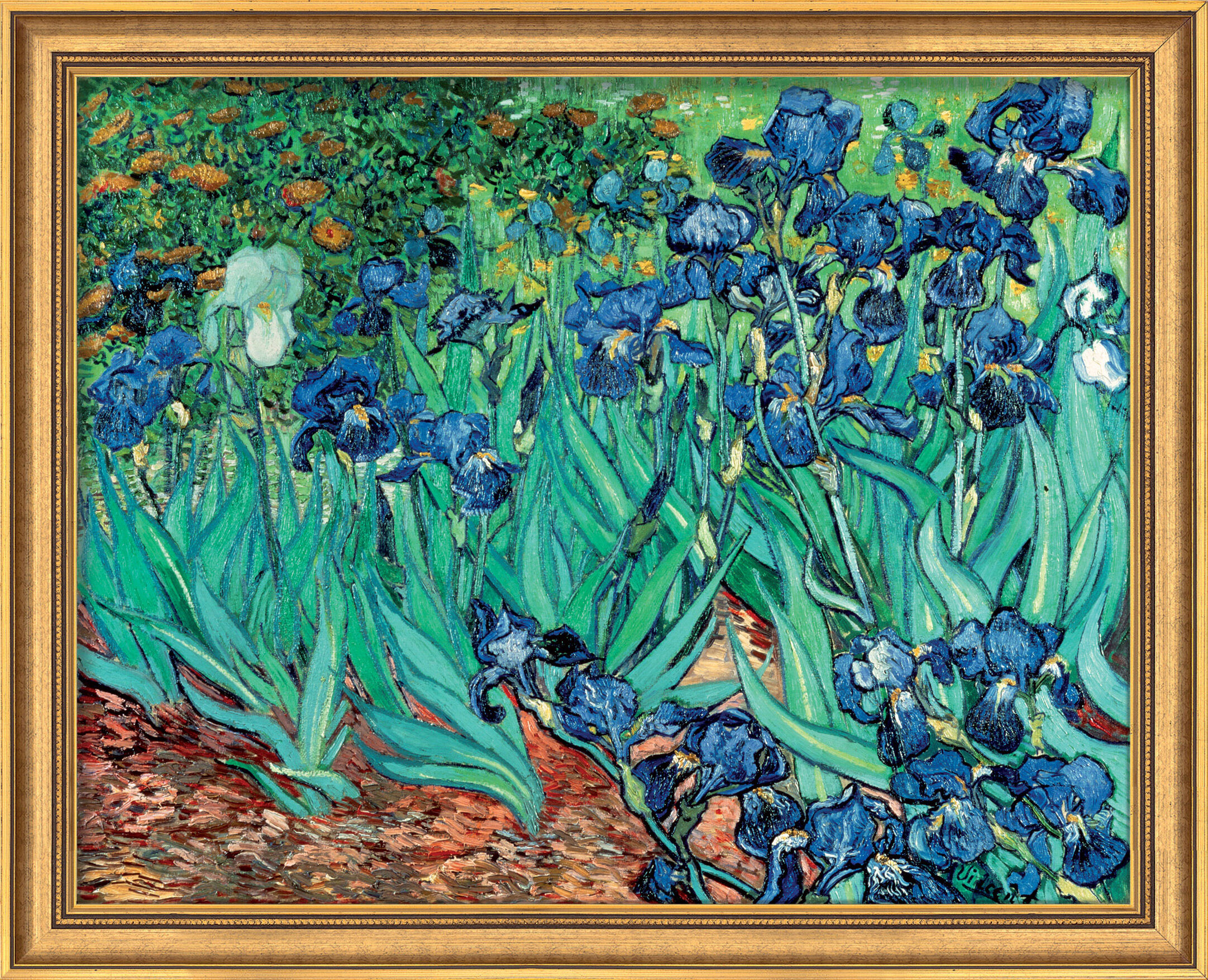 Billede "Iris" (1889), indrammet von Vincent van Gogh